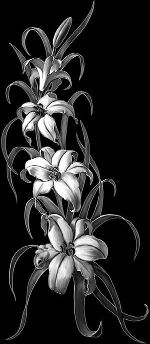 Цветок Лилия - картинки для гравировки